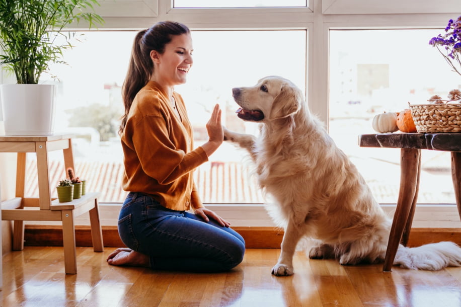 Home-sitting : gardez une maison, dorlotez des animaux et explorez le monde gratuitement
