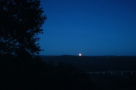 nuit belle etoile foret